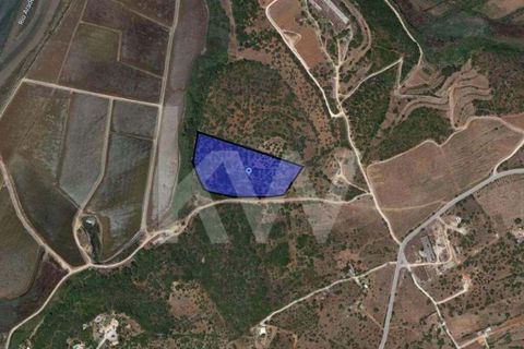 Villa i Estombar, Faro, Estombar - € 855.000 | Ref: 1210-2148 - foto 9