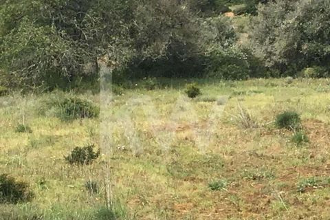 Helårsgrund i Lagoa, Faro, Lagoa - € 165.000 | Ref: 1210-1902 - foto 5