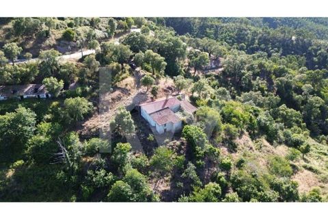 Farm hus i Monchique, Faro, Monchique - € 185.000 | Ref: 1210-2805 - foto 1