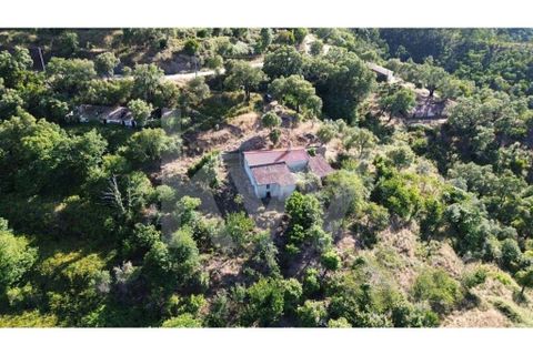 Farm hus i Monchique, Faro, Monchique - € 185.000 | Ref: 1210-2805 - foto 4