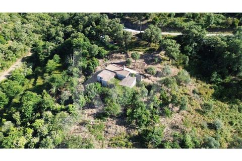 Farm hus i Monchique, Faro, Monchique - € 185.000 | Ref: 1210-2805 - foto 6