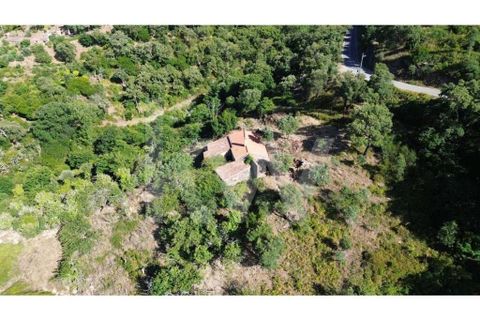 Farm hus i Monchique, Faro, Monchique - € 185.000 | Ref: 1210-2805 - foto 7