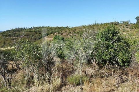 Farm hus i Monchique, Faro, Monchique - € 185.000 | Ref: 1210-2805 - foto 22