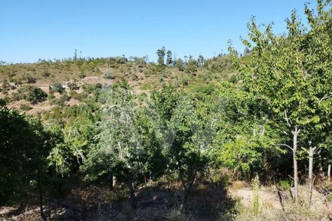 Farm hus i Monchique, Faro, Monchique - € 185.000 | Ref: 1210-2805 - foto 24
