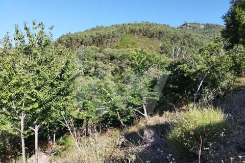 Farm hus i Monchique, Faro, Monchique - € 185.000 | Ref: 1210-2805 - foto 25