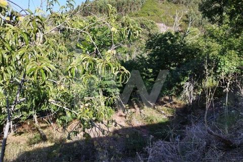 Farm hus i Monchique, Faro, Monchique - € 185.000 | Ref: 1210-2805 - foto 26
