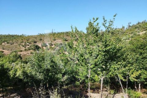 Farm hus i Monchique, Faro, Monchique - € 185.000 | Ref: 1210-2805 - foto 27