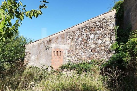 Farm hus i Monchique, Faro, Monchique - € 185.000 | Ref: 1210-2805 - foto 28
