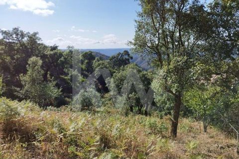 Farm hus i Monchique, Faro, Monchique - € 185.000 | Ref: 1210-2805 - foto 29