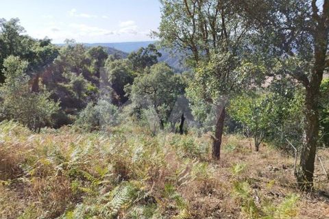 Farm hus i Monchique, Faro, Monchique - € 185.000 | Ref: 1210-2805 - foto 30