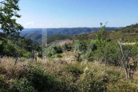 Farm hus i Monchique, Faro, Monchique - € 185.000 | Ref: 1210-2805 - foto 31
