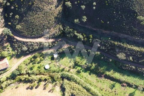 Villa i Silves, Faro, Silves - € 190.000 | Ref: 1210-2878 - foto 7