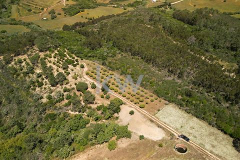 Farm hus i Budens, Faro, Budens - € 2.500.000 | Ref: 1210-3141 - foto 2