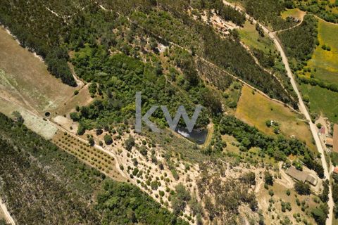 Farm hus i Budens, Faro, Budens - € 2.500.000 | Ref: 1210-3141 - foto 3