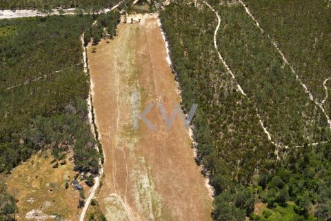 Farm hus i Budens, Faro, Budens - € 2.500.000 | Ref: 1210-3141 - foto 4