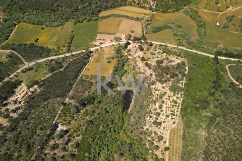 Farm hus i Budens, Faro, Budens - € 2.500.000 | Ref: 1210-3141 - foto 5