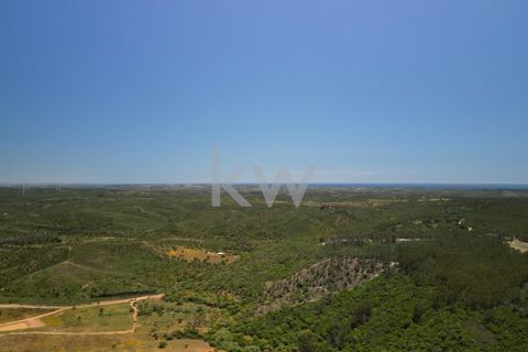 Farm hus i Budens, Faro, Budens - € 2.500.000 | Ref: 1210-3141 - foto 7