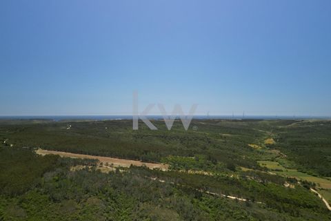 Farm hus i Budens, Faro, Budens - € 2.500.000 | Ref: 1210-3141 - foto 8
