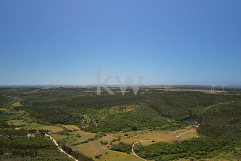 Farm hus i Budens, Faro, Budens - € 2.500.000 | Ref: 1210-3141 - foto 9