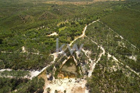 Farm hus i Budens, Faro, Budens - € 2.500.000 | Ref: 1210-3141 - foto 10