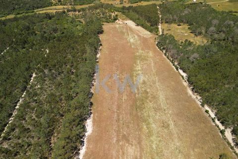 Farm hus i Budens, Faro, Budens - € 2.500.000 | Ref: 1210-3141 - foto 11