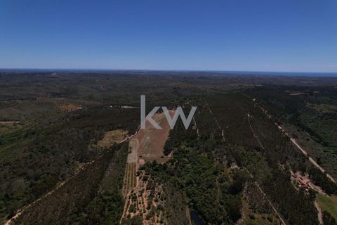 Farm hus i Budens, Faro, Budens - € 2.500.000 | Ref: 1210-3141 - foto 12