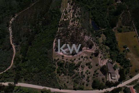Farm hus i Budens, Faro, Budens - € 2.500.000 | Ref: 1210-3141 - foto 13