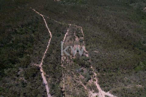 Farm hus i Budens, Faro, Budens - € 2.500.000 | Ref: 1210-3141 - foto 15