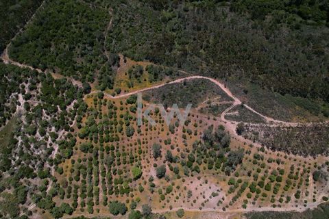 Farm hus i Budens, Faro, Budens - € 2.500.000 | Ref: 1210-3141 - foto 19