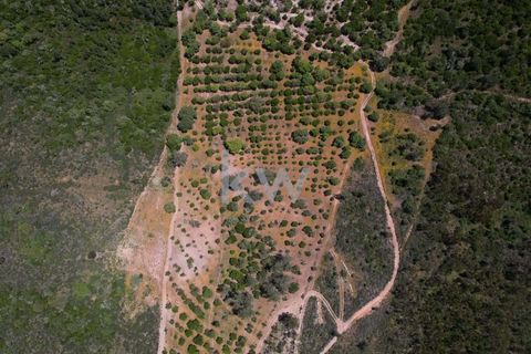 Farm hus i Budens, Faro, Budens - € 2.500.000 | Ref: 1210-3141 - foto 21