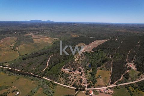 Farm hus i Budens, Faro, Budens - € 2.500.000 | Ref: 1210-3141 - foto 22
