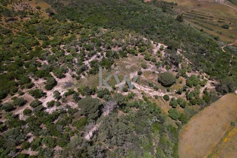 Farm hus i Budens, Faro, Budens - € 2.500.000 | Ref: 1210-3141 - foto 23