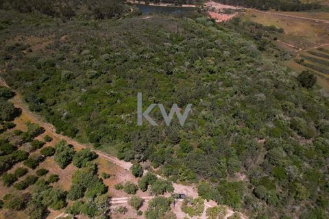 Farm hus i Budens, Faro, Budens - € 2.500.000 | Ref: 1210-3141 - foto 24