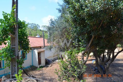 Farm hus i Budens, Faro, Budens - € 2.500.000 | Ref: 1210-3141 - foto 29