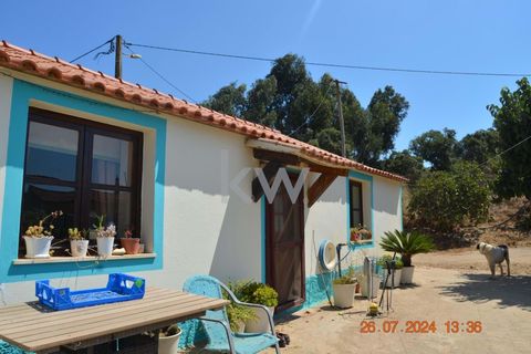 Farm hus i Budens, Faro, Budens - € 2.500.000 | Ref: 1210-3141 - foto 26