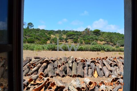 Farm hus i Budens, Faro, Budens - € 2.500.000 | Ref: 1210-3141 - foto 31