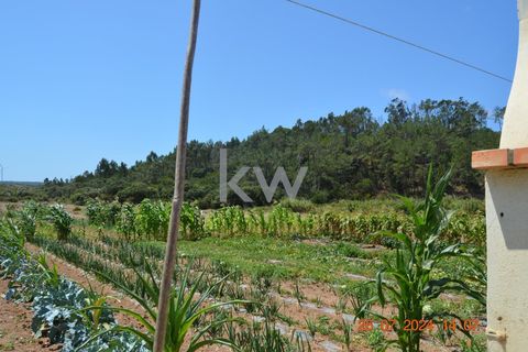 Farm hus i Budens, Faro, Budens - € 2.500.000 | Ref: 1210-3141 - foto 32