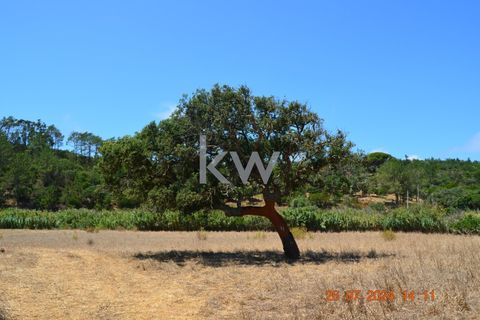 Farm hus i Budens, Faro, Budens - € 2.500.000 | Ref: 1210-3141 - foto 36
