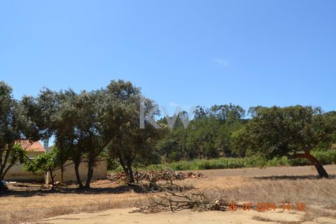 Farm hus i Budens, Faro, Budens - € 2.500.000 | Ref: 1210-3141 - foto 37