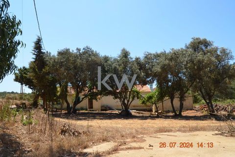 Farm hus i Budens, Faro, Budens - € 2.500.000 | Ref: 1210-3141 - foto 38