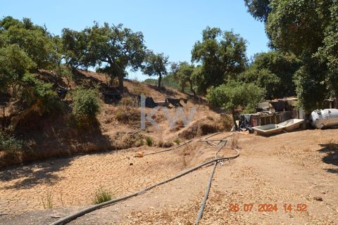 Farm hus i Budens, Faro, Budens - € 2.500.000 | Ref: 1210-3141 - foto 41