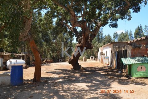 Farm hus i Budens, Faro, Budens - € 2.500.000 | Ref: 1210-3141 - foto 42