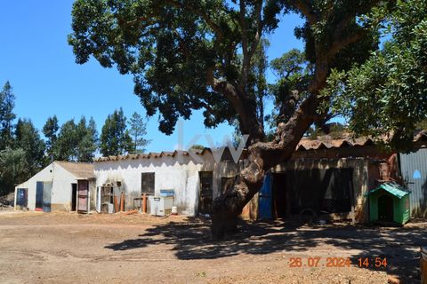 Farm hus i Budens, Faro, Budens - € 2.500.000 | Ref: 1210-3141 - foto 43