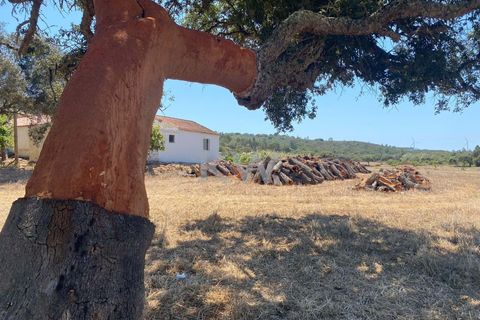 Farm hus i Budens, Faro, Budens - € 2.500.000 | Ref: 1210-3141 - foto 45