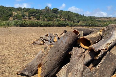 Farm hus i Budens, Faro, Budens - € 2.500.000 | Ref: 1210-3141 - foto 46