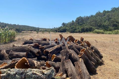 Farm hus i Budens, Faro, Budens - € 2.500.000 | Ref: 1210-3141 - foto 47