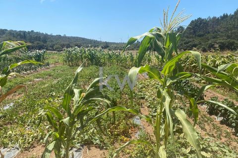 Farm hus i Budens, Faro, Budens - € 2.500.000 | Ref: 1210-3141 - foto 48