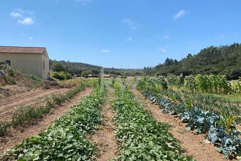 Farm hus i Budens, Faro, Budens - € 2.500.000 | Ref: 1210-3141 - foto 49