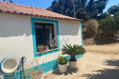 Farm hus i Budens, Faro, Budens - € 2.500.000 | Ref: 1210-3141 - foto 50