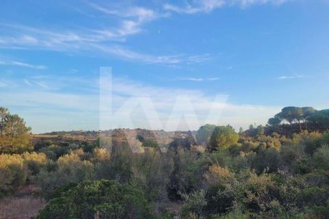 Helårsgrund i Paderne, Faro, Paderne - € 55.000 | Ref: 1210-2866 - foto 3